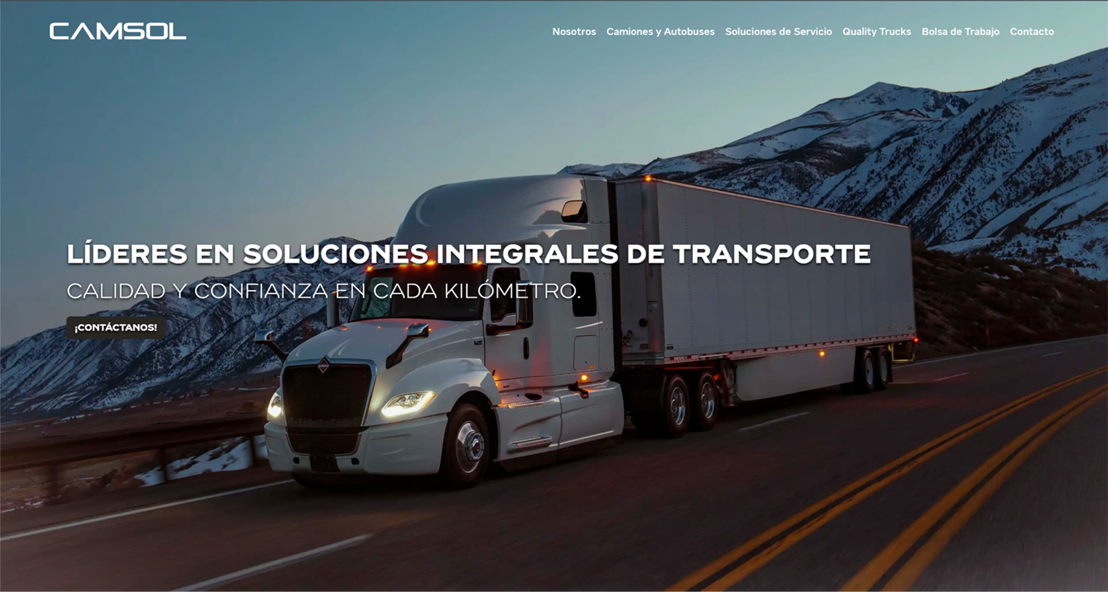 Camsol website